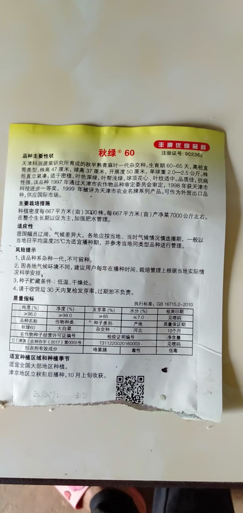 秋绿（60）苗好，农家育苗基地常年供应各种各样的蔬菜苗