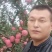陕西礼泉纸袋膜袋红富士大量走货，供应电商平台，社区平台
