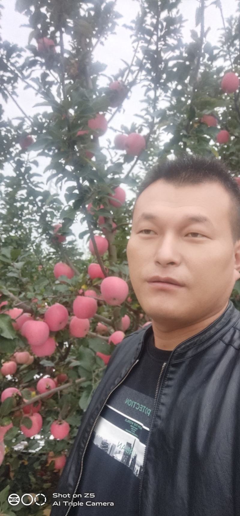 陕西礼泉纸袋膜袋红富士大量走货，供应电商平台，社区平台
