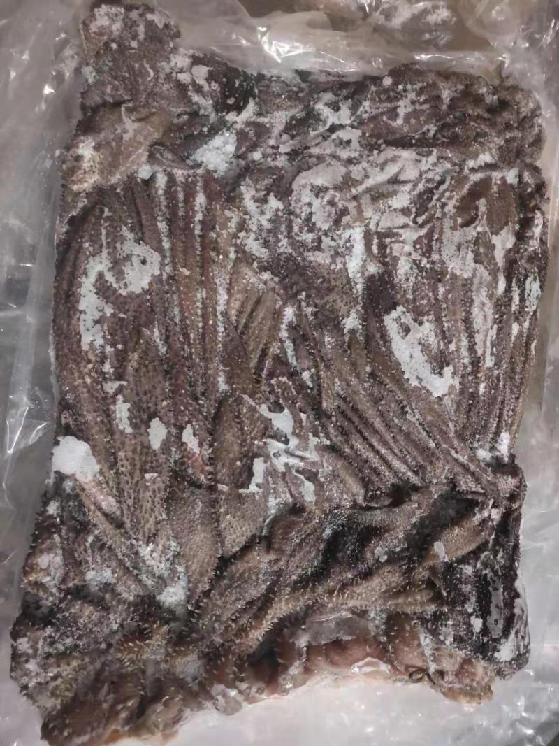新鲜牛百叶