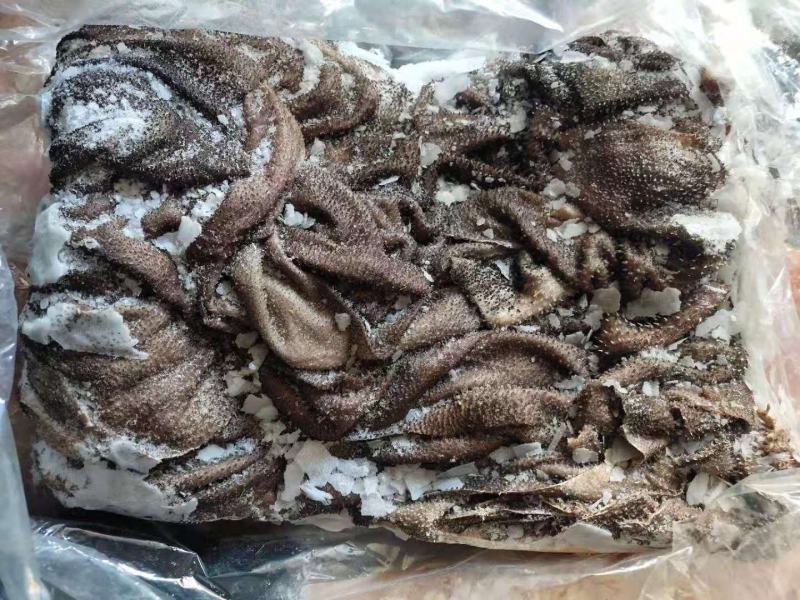 新鲜牛百叶