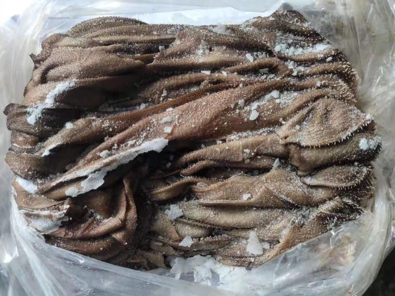 新鲜牛百叶