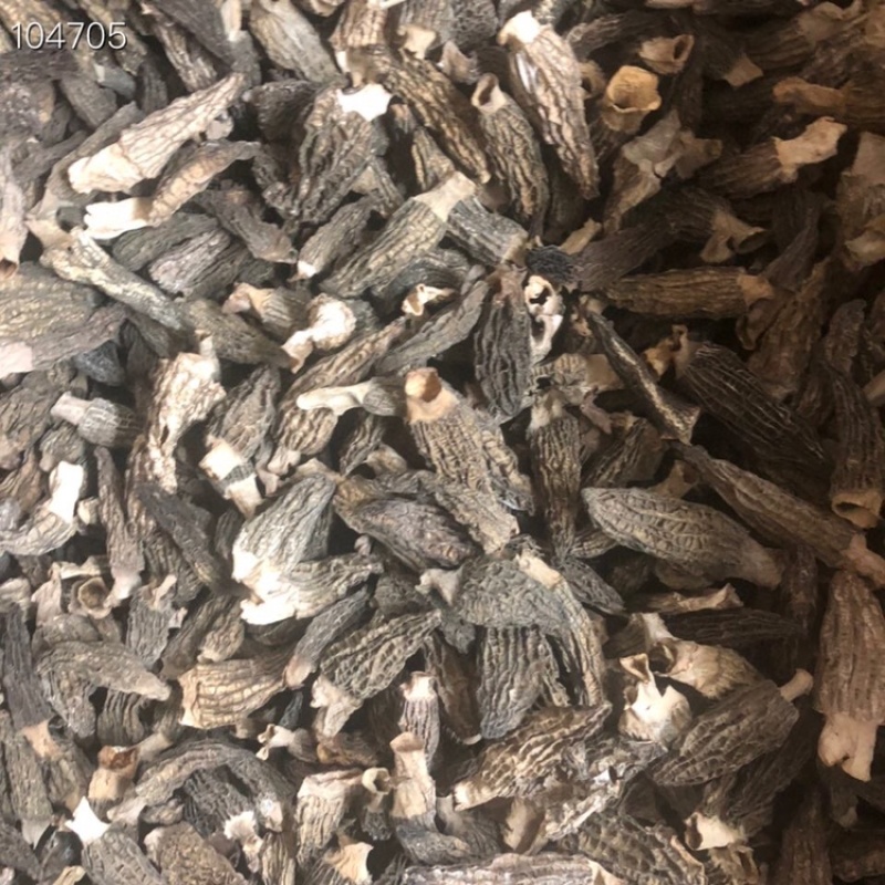 新货2021年短柄羊肚菌均匀肉厚