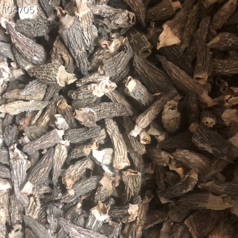 新货2021年短柄羊肚菌均匀肉厚