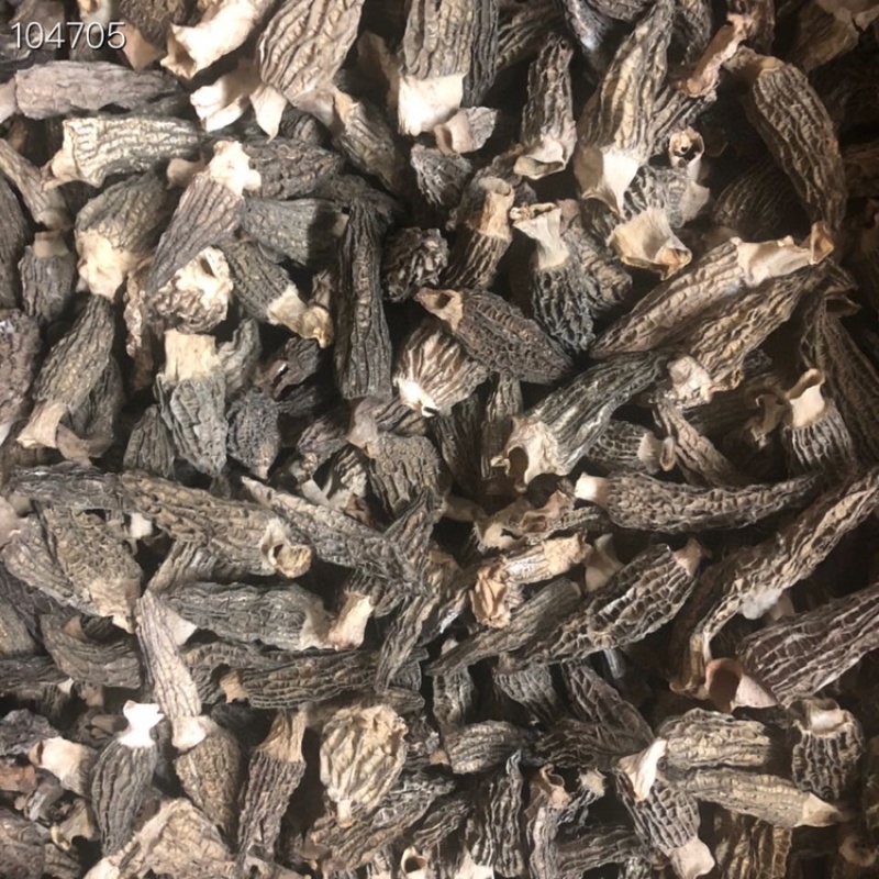 新货2021年短柄羊肚菌均匀肉厚