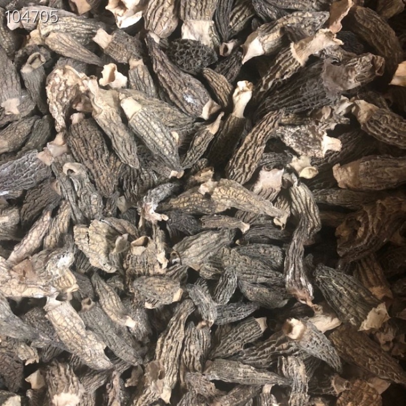 新货2021年短柄羊肚菌均匀肉厚
