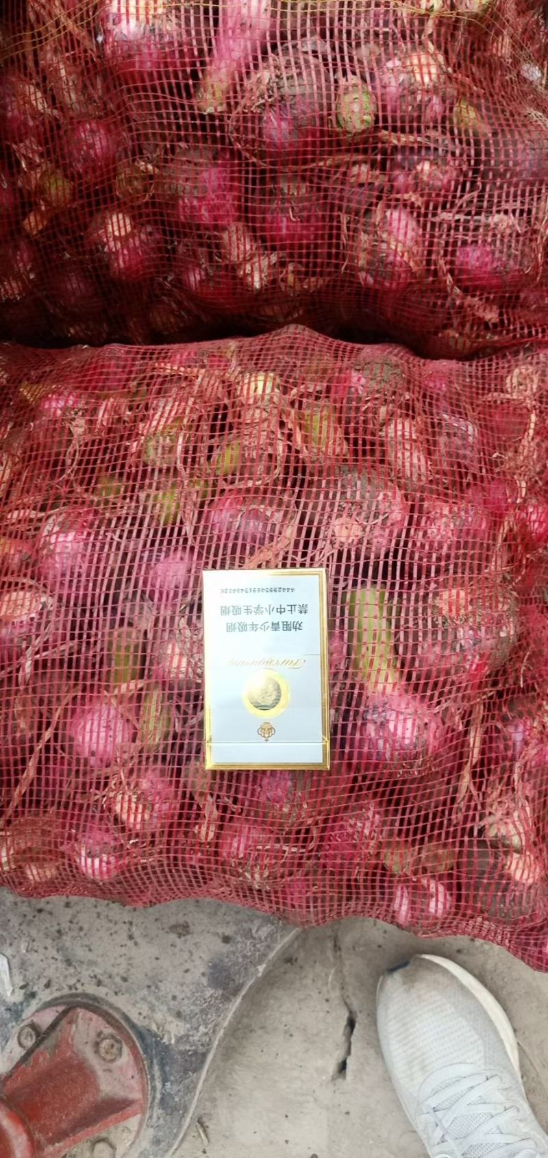 河南杞县鲜大蒜，蒜头，扒皮蒜，把蒜，供应各大市场电商超市