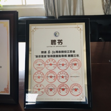 稻米油