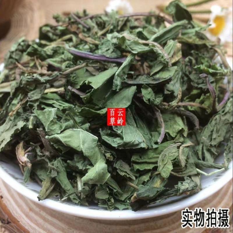 云南野生中药材蒲公英蒲公英叶蒲公英茶婆婆丁包邮