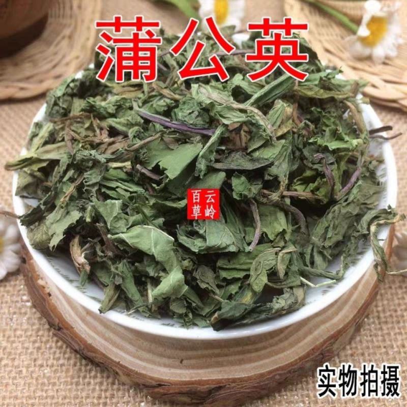 云南野生中药材蒲公英蒲公英叶蒲公英茶婆婆丁包邮