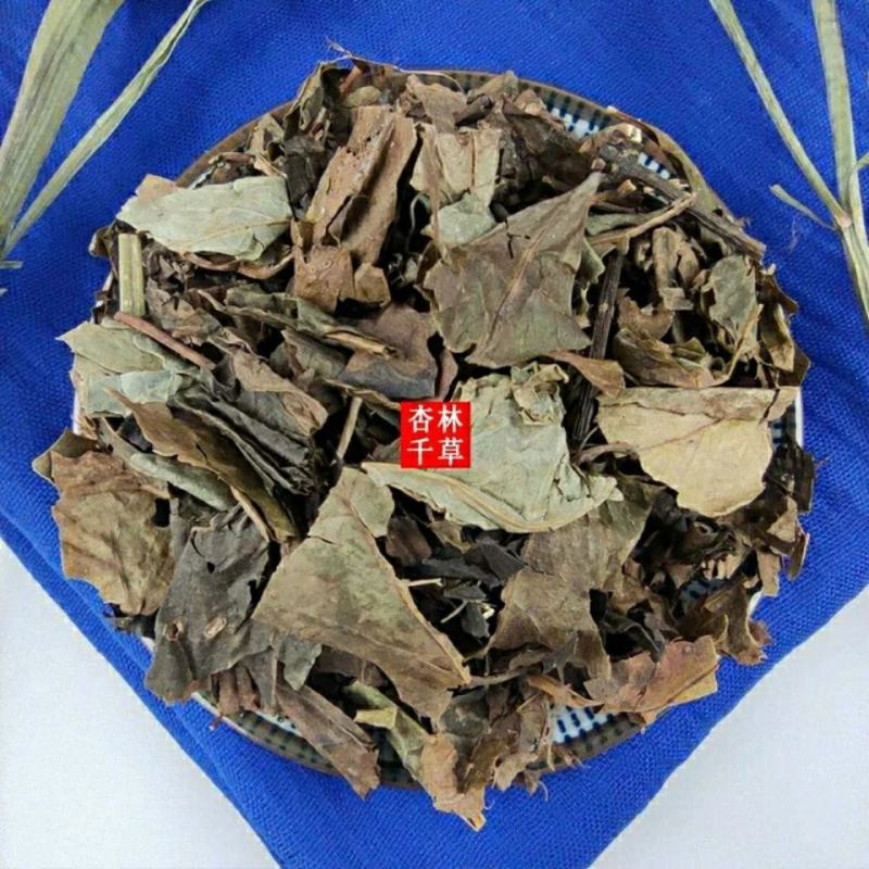 云南野生中药材草珊瑚肿节风九节茶九节风包邮