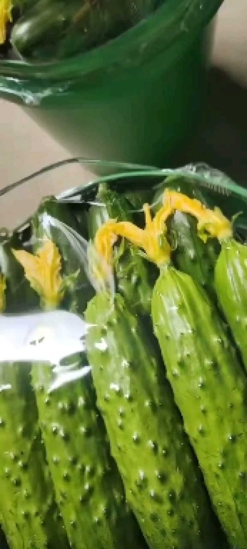 专业的事专业的人来干，从业十年的老代收带你拉黄瓜挣钱
