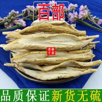 野生中药材百部百部草百部根散装正品无硫干货野生去除虱