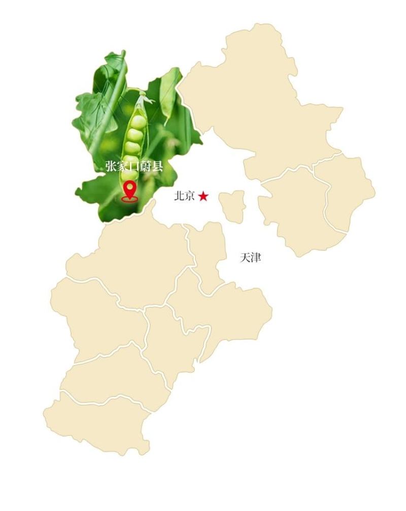 河北蔚县豆面糊（扁豆豌豆，苦荞）540克/袋（十袋包邮）