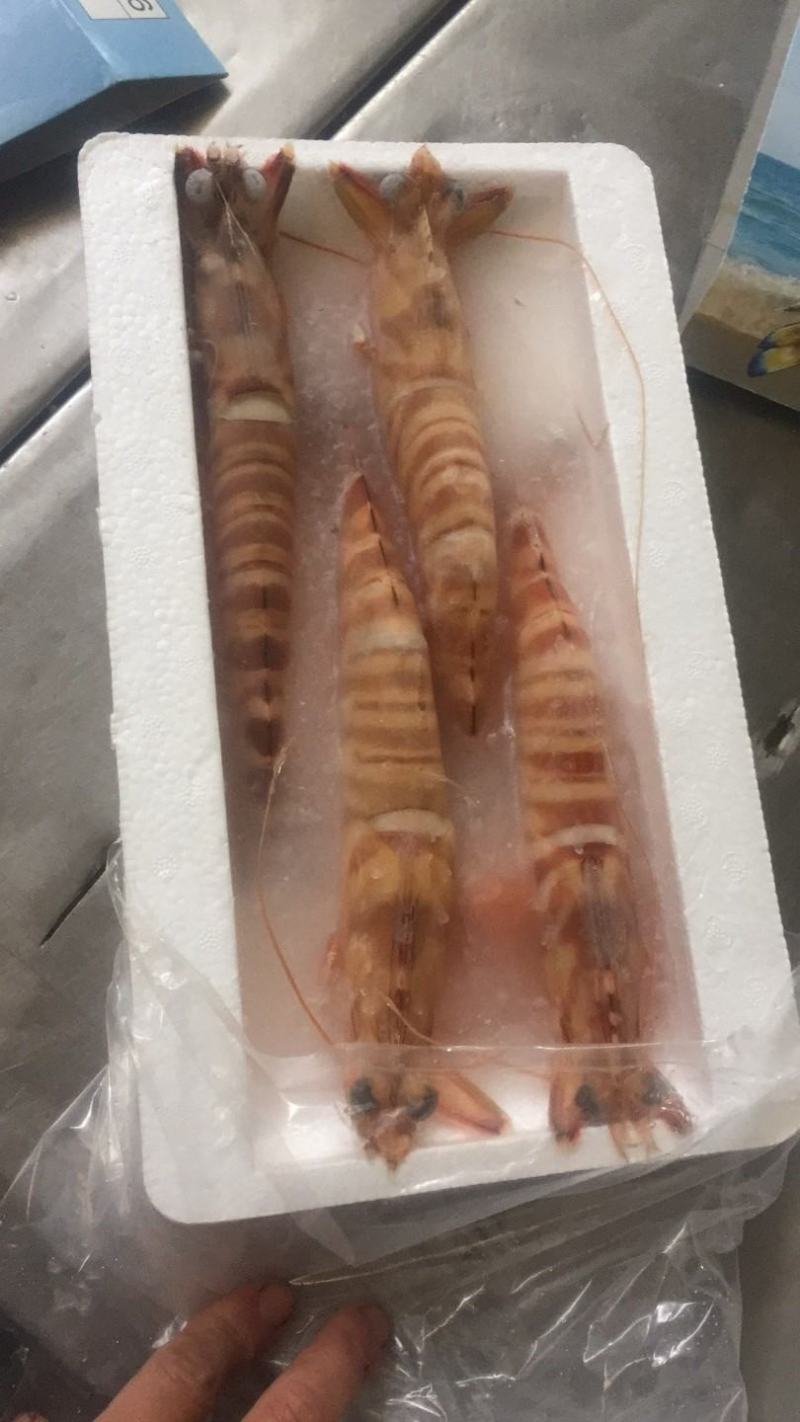 斑节虾竹节虾来自深海肉质紧实细腻