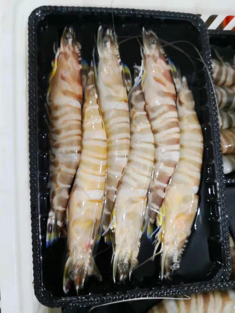 斑节虾竹节虾来自深海肉质紧实细腻