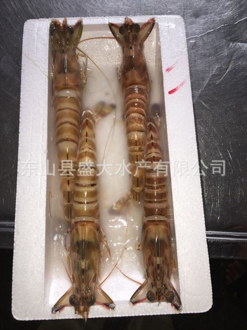 斑节虾竹节虾来自深海肉质紧实细腻