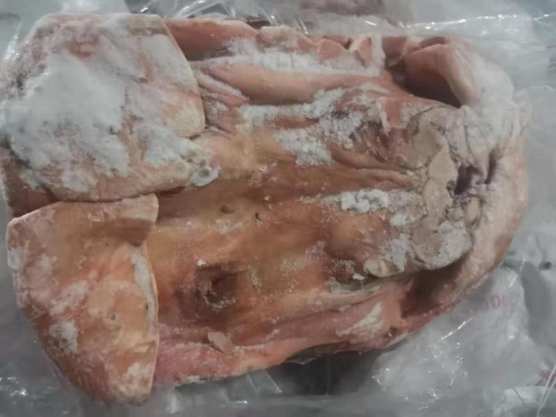 【母猪猪头】手续齐全，品质保证，有需要随时联系我