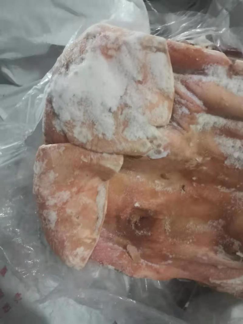 【母猪猪头】手续齐全，品质保证，有需要随时联系我