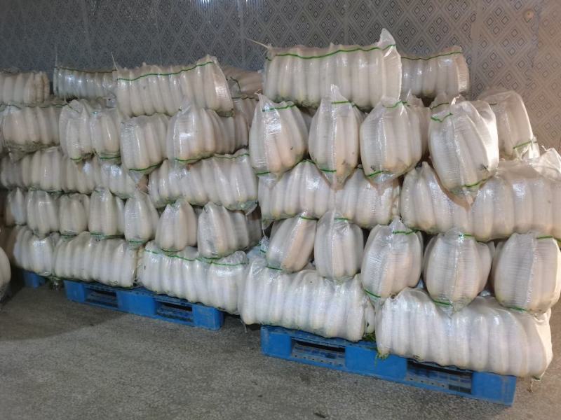 精品白萝卜，酱菜厂，加工厂，养殖厂，规格齐全，大量供应