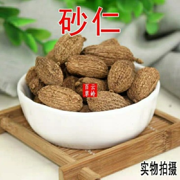 中药材正品砂仁阳春砂仁春砂仁散装包邮
