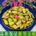 云南野生中药材黄芩黄芩茶黄芩片黄芩根包邮