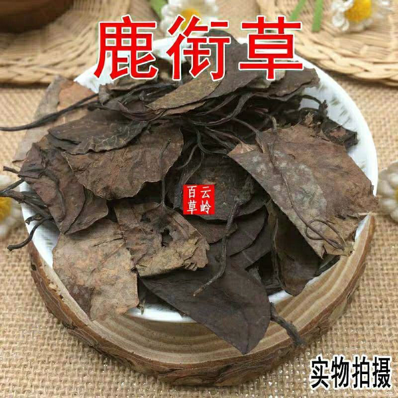 云南野生中药材鹿蹄草鹿衔草鹿含草鹿寿草包邮