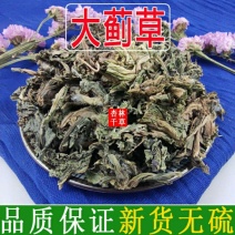 云南野生中药材大蓟草大刺儿菜马蓟虎蓟刺蓟野刺菜