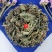 云南野生中药材大蓟草大刺儿菜马蓟虎蓟刺蓟野刺菜