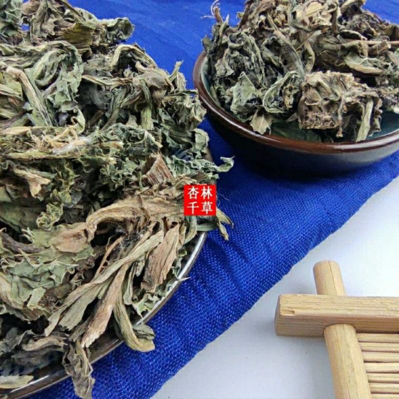 云南野生中药材大蓟草大刺儿菜马蓟虎蓟刺蓟野刺菜
