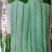 红花白荚紫花白荚无筋白四季豆种子架豆种子/科兴