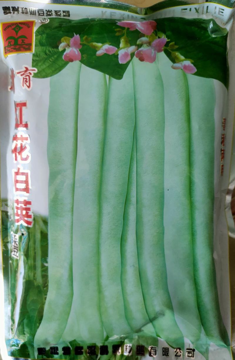 红花白荚紫花白荚无筋白四季豆种子架豆种子/科兴