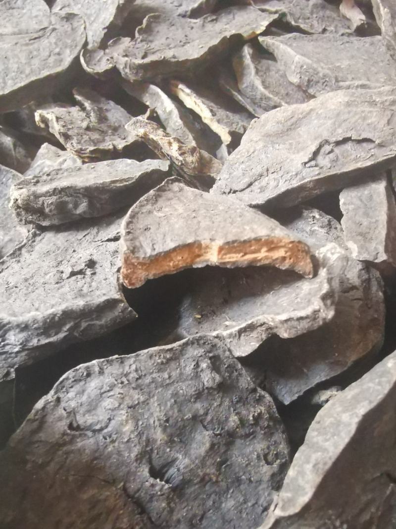 精制何首乌，干净大片，非常香，大货批发，产地直销