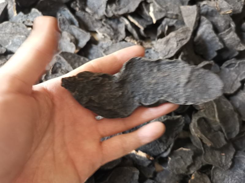 精制何首乌，干净大片，非常香，大货批发，产地直销