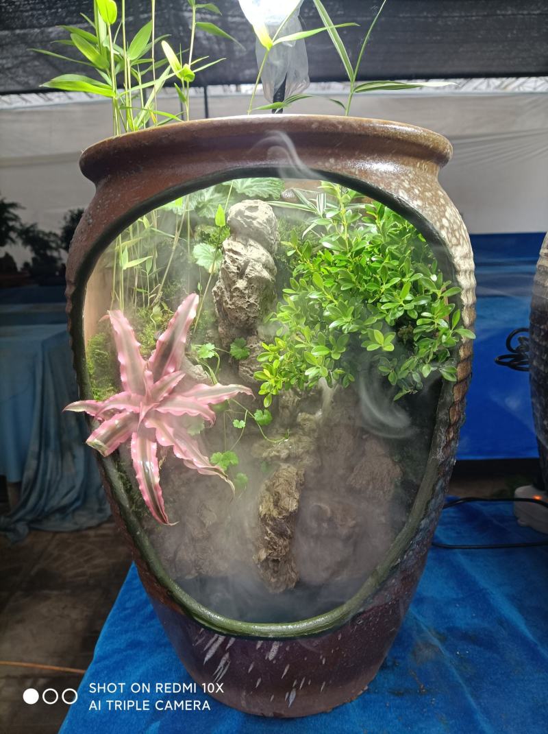 榕树罐中景/雾化流水水景罐/基地发货/支持订货欢迎品鉴