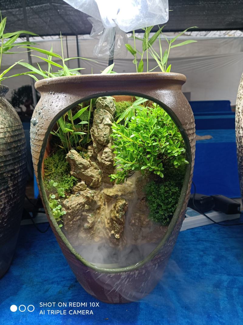 榕树罐中景/雾化流水水景罐/基地发货/支持订货欢迎品鉴