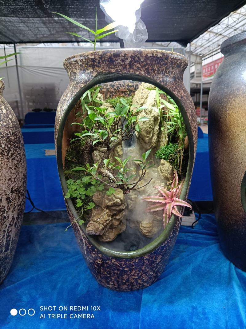 榕树罐中景/雾化流水水景罐/基地发货/支持订货欢迎品鉴