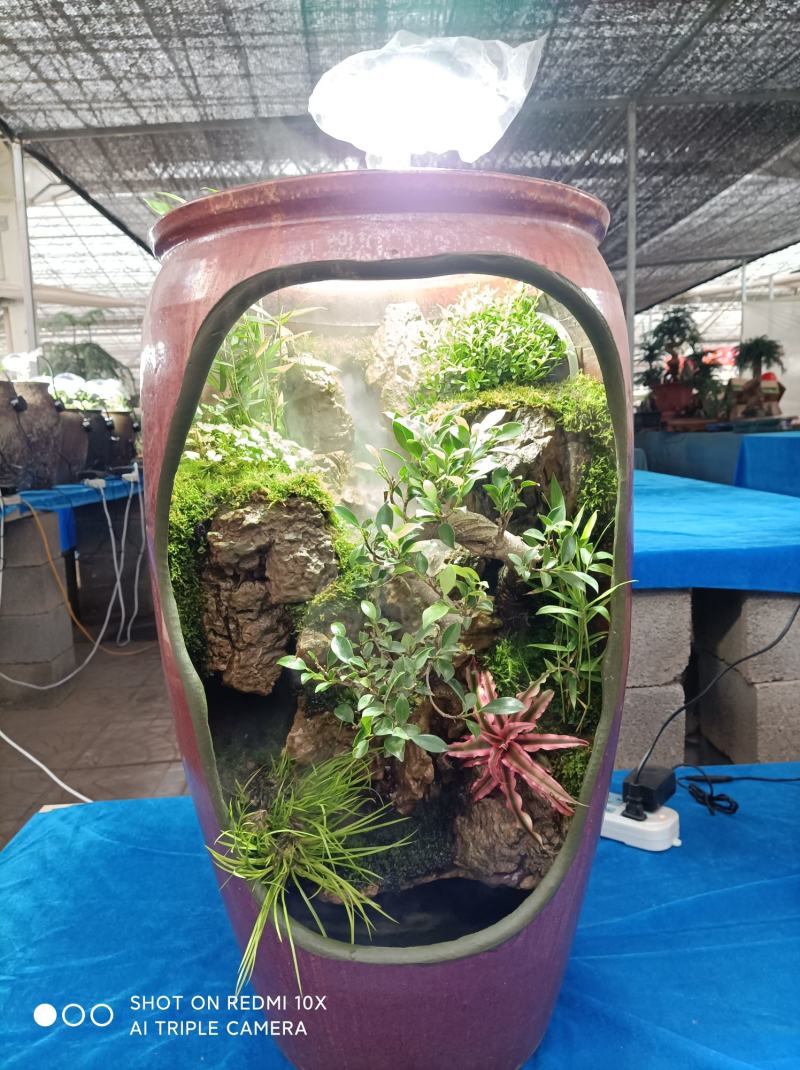 榕树罐中景/雾化流水水景罐/基地发货/支持订货欢迎品鉴