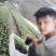 红参果种苗