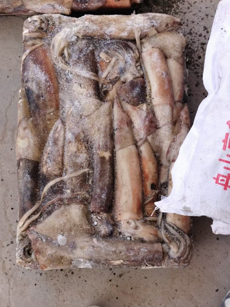 大鱿鱼船冻大鱿鱼小鱿鱼急冻锁鲜江苏海鲜水产批发鱿鱼