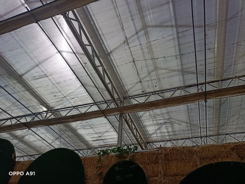 生产加工：养殖大棚种植大棚日光暖棚连栋大棚