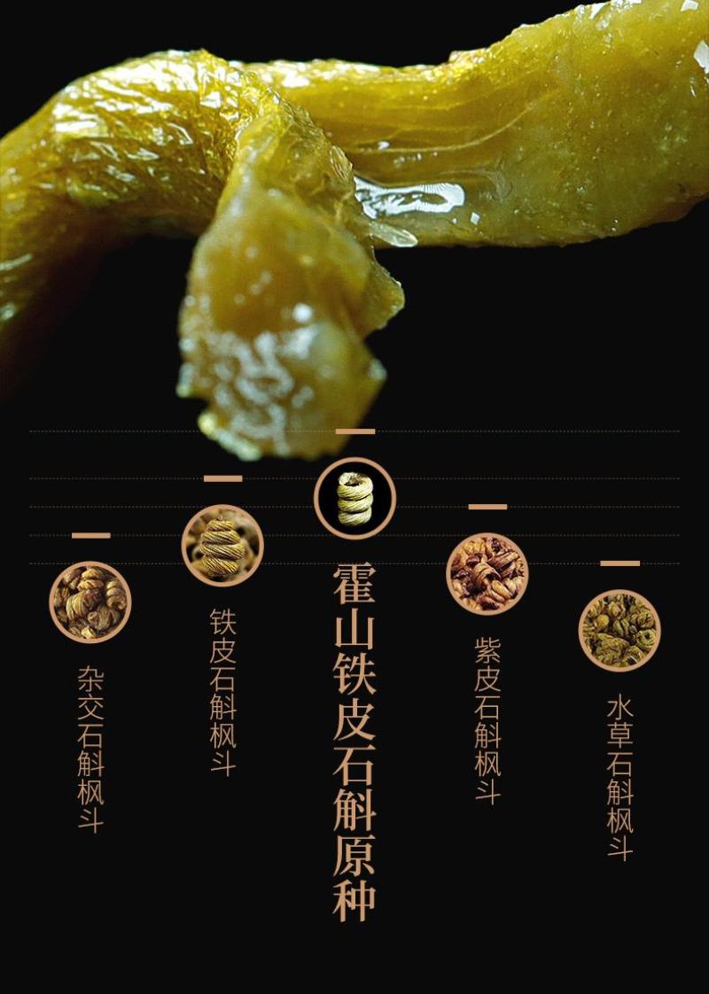 霍山铁皮石斛品质保证霍山米斛基地直销原产地认证