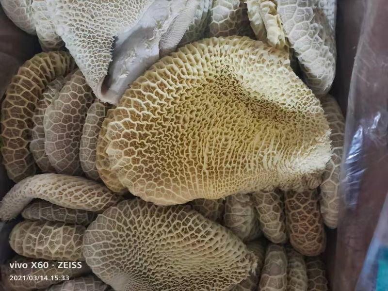 【熟食金钱肚】全熟水煮金钱肚精修无油一件三十斤