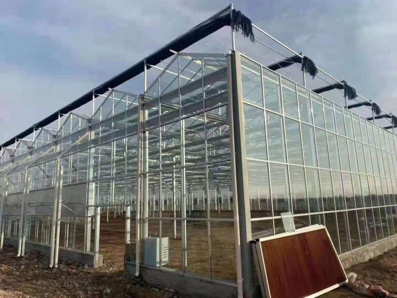 生产加工：养殖大棚种植大棚日光暖棚连栋大棚