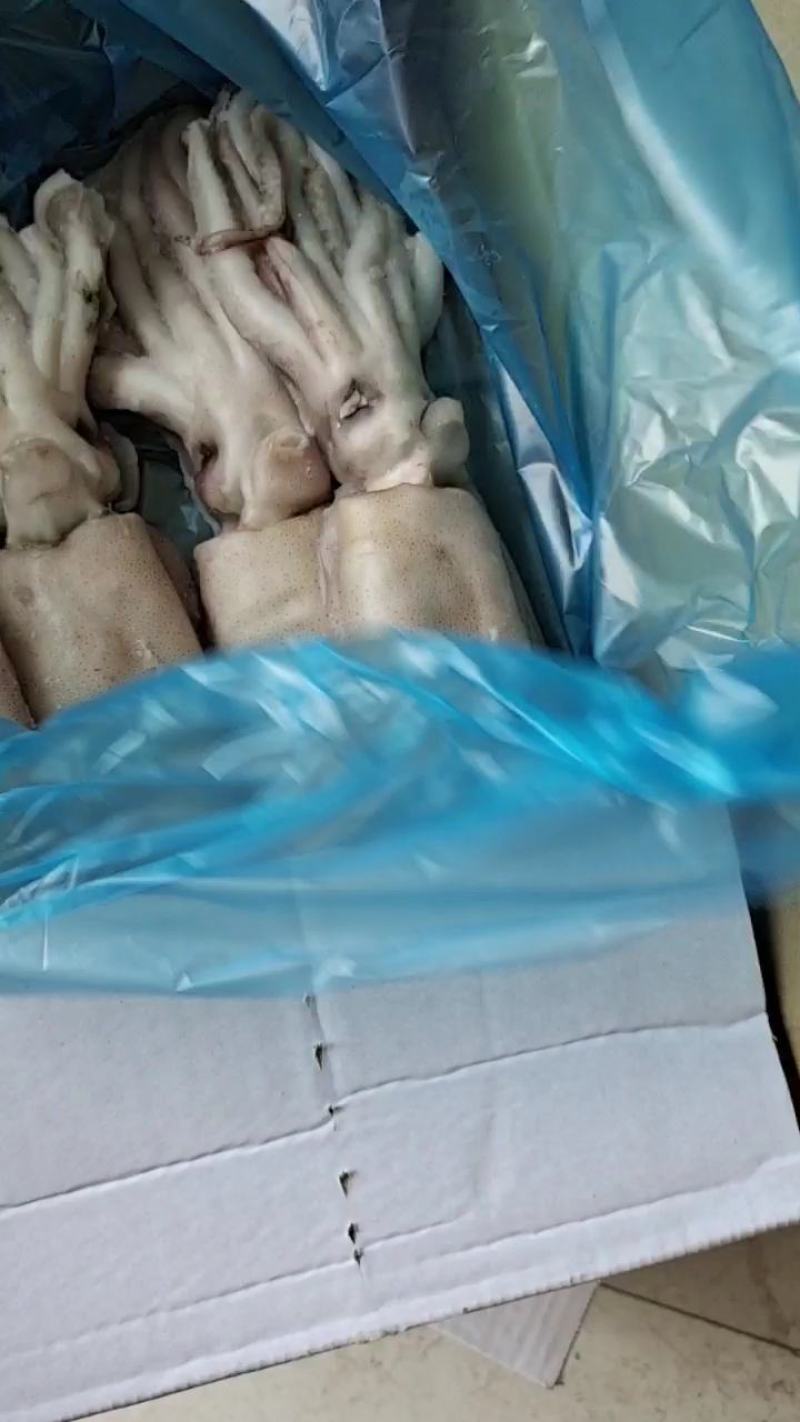 鱿鱼鲜冻品，辣炒做汤涮火锅烧烤专用厂家直销一手货源