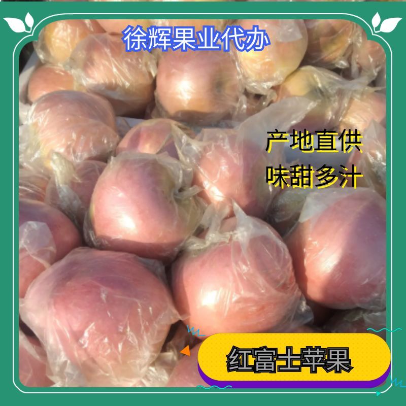 红富士苹果，脆甜，色泽红，果面干净。产地直销全国代发。