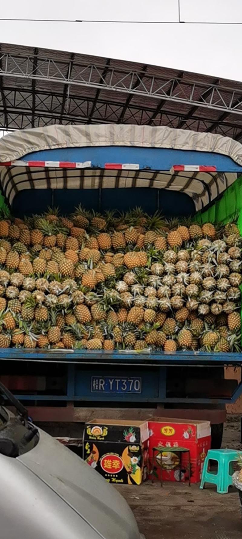 菠萝