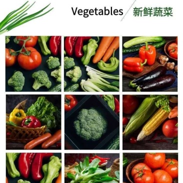 【全奕蔬菜】寿光产地直供，专业对接商超、平台、社区团购等