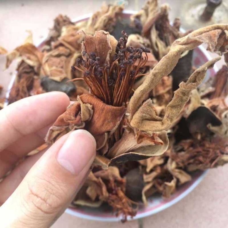 中药材木棉花正宗无硫精选木棉花中药材量大从优