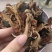 中药材木棉花正宗无硫精选木棉花中药材量大从优